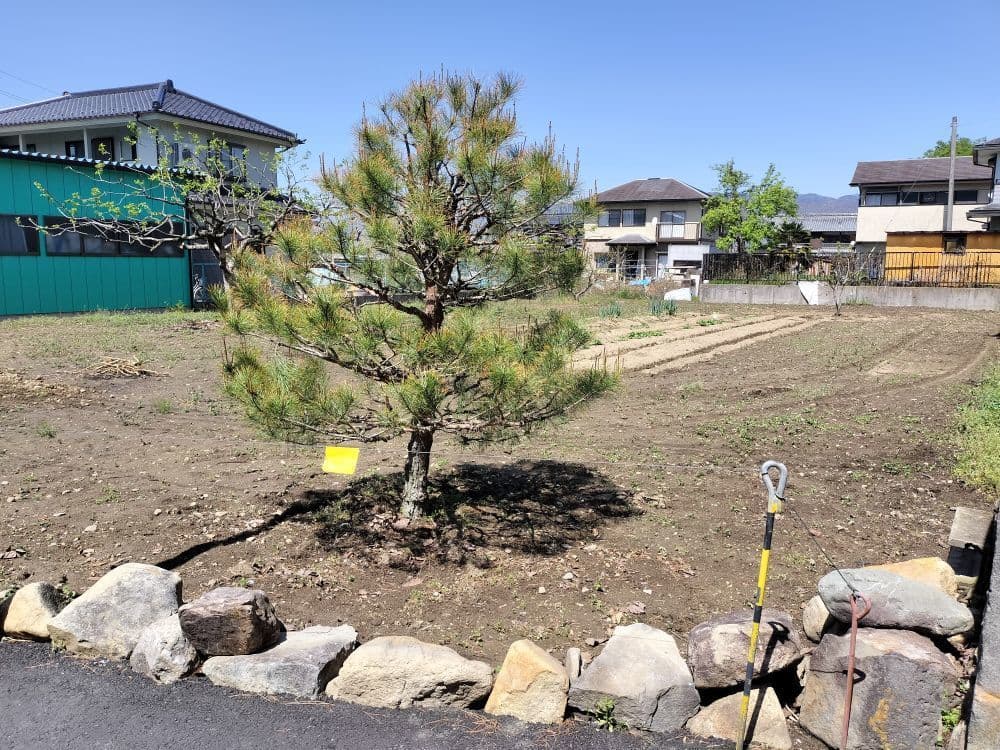 大坪