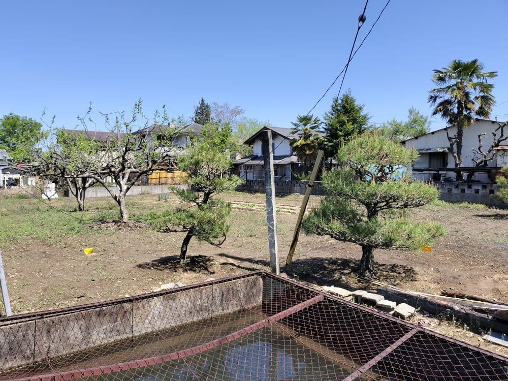 大坪